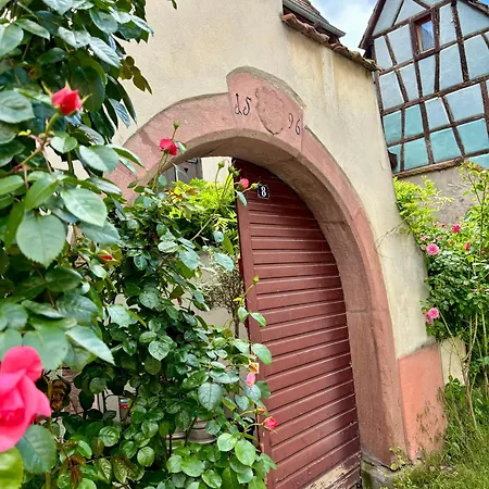 Sweet Home Kaysersberg Extérieur photo